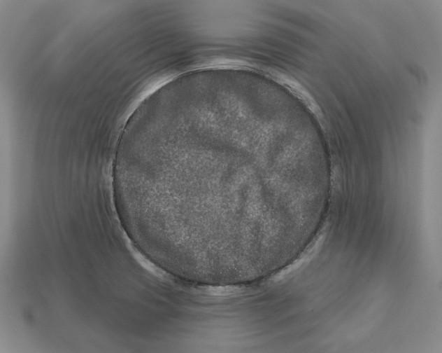 X0000113121425200909181640