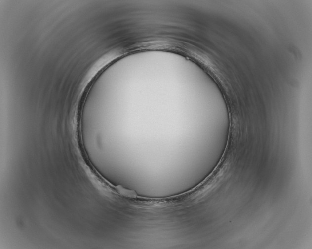 X0000113121426200909181640