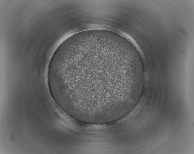 X0000113121427200909181640