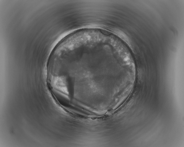 X0000113121428200909181640