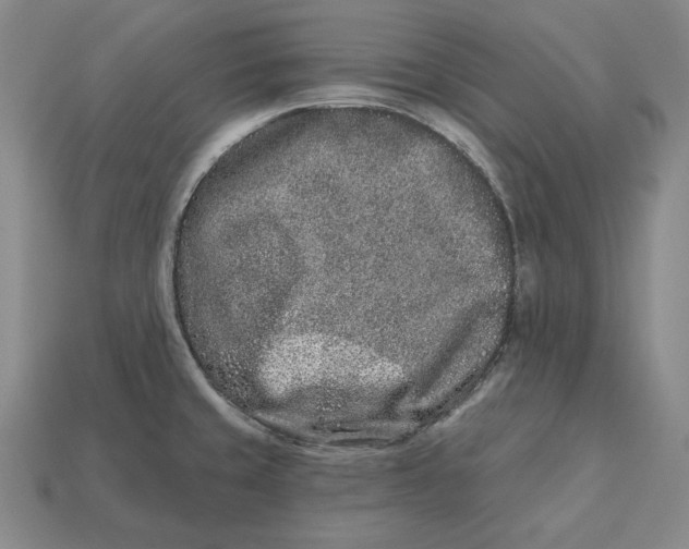 X0000113121429200909181640