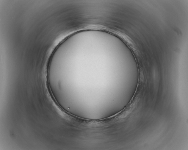 X0000113121430200909181640