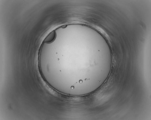 X0000113121431200909181640