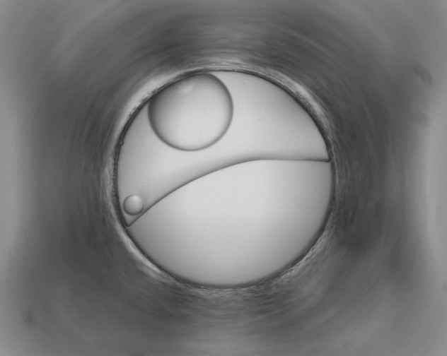 X0000113121432200909181640