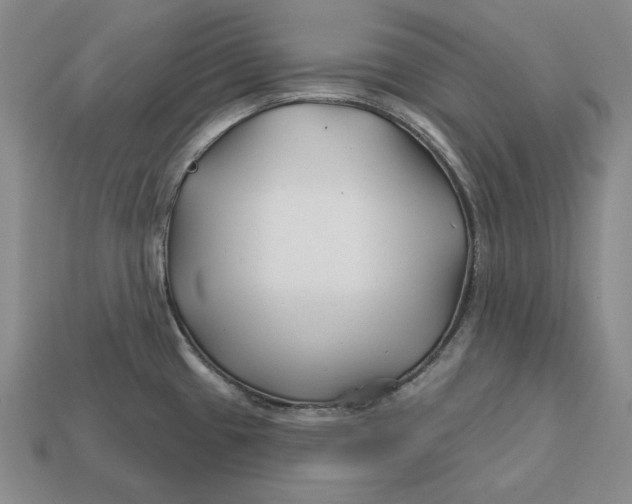 X0000113121433200909181640