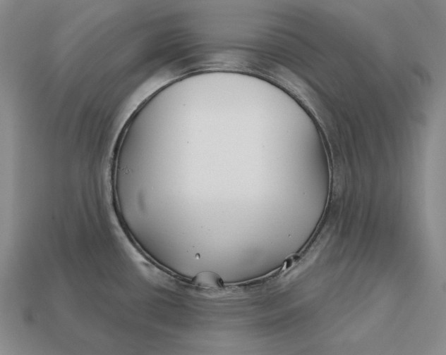 X0000113121434200909181640