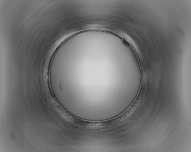 X0000113121435200909181640