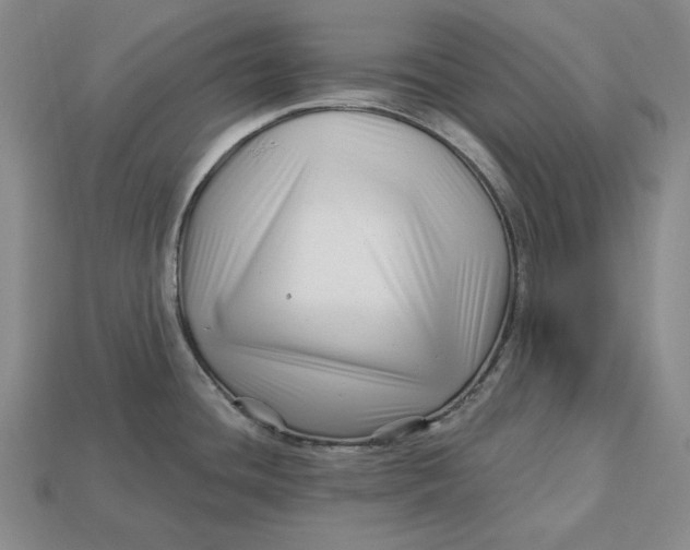 X0000113121436200909181640