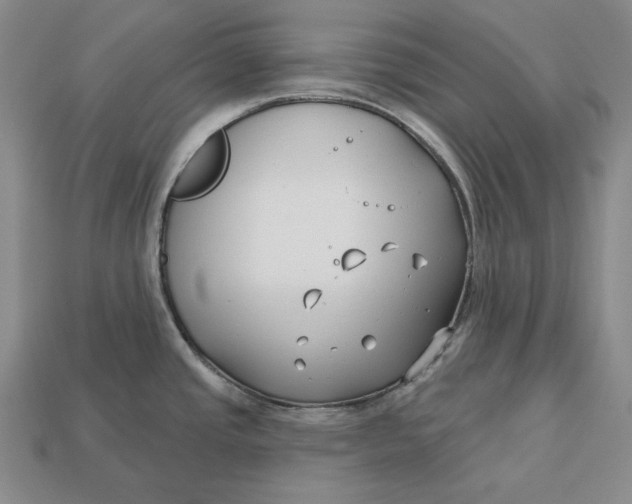 X0000113121437200909181640