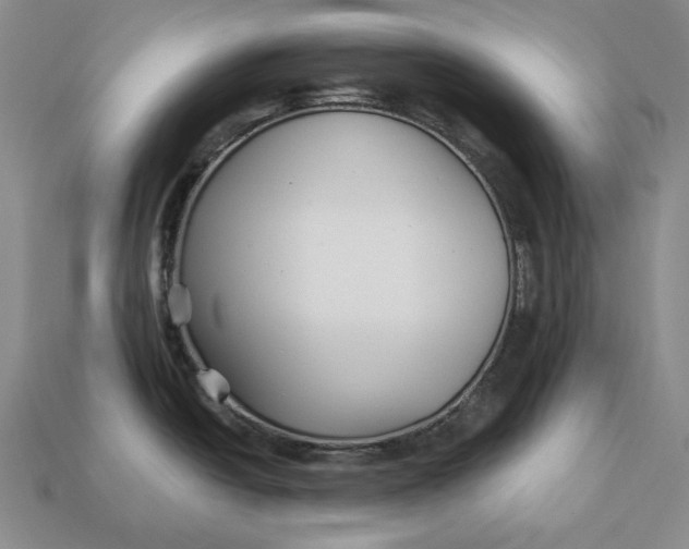 X0000113121438200909181640