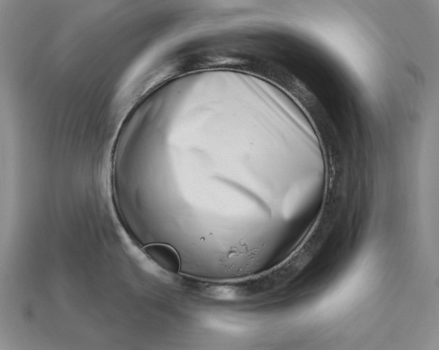 X0000113121439200909181640