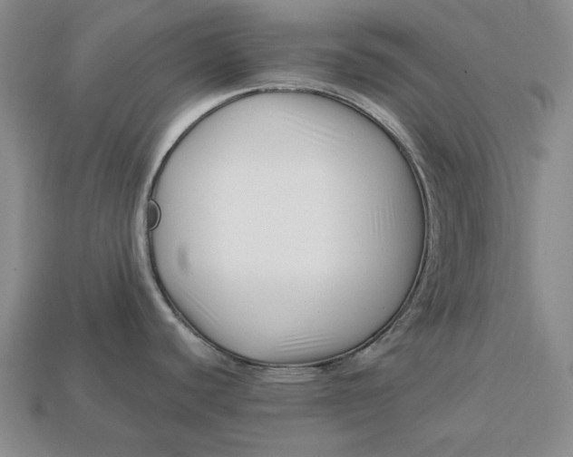 X0000113121440200909181640