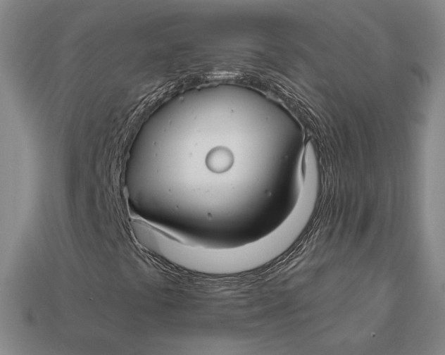 X0000113121441200909181639