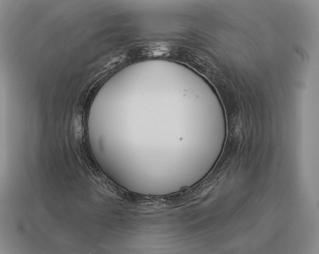 X0000113121442200909181639