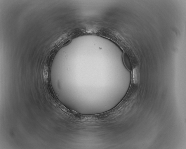 X0000113121443200909181639