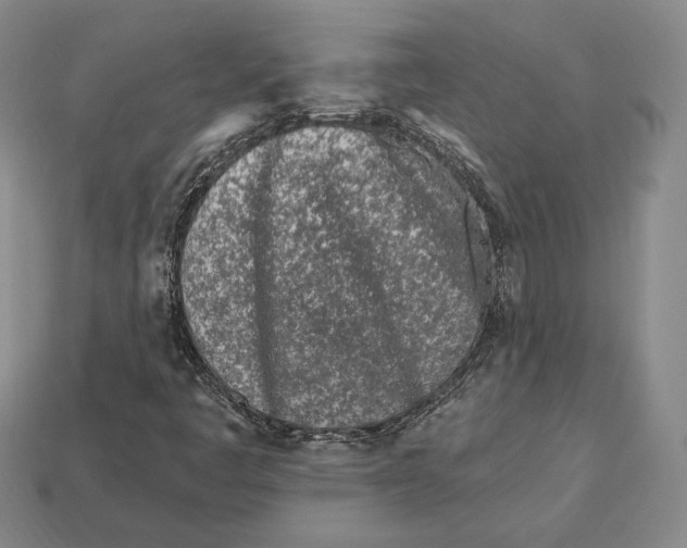 X0000113121445200909181639