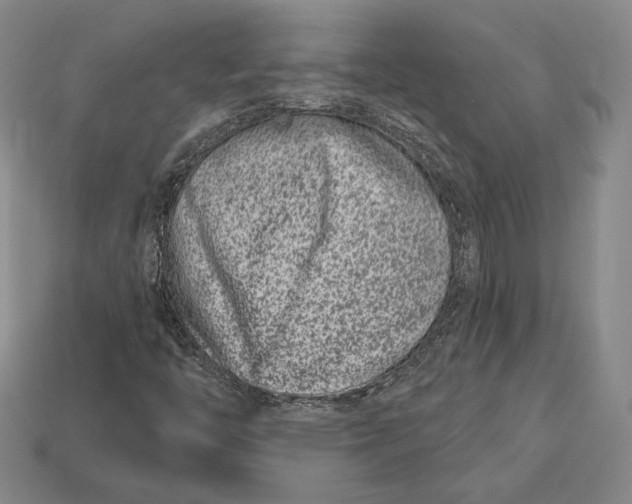 X0000113121446200909181639