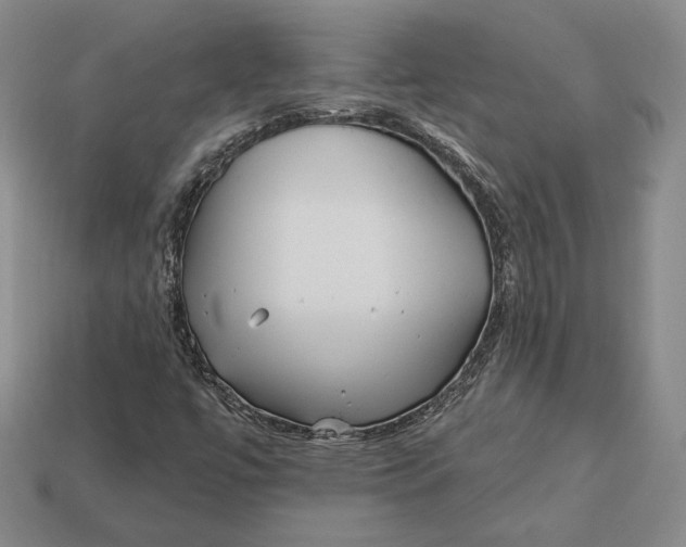 X0000113121447200909181639