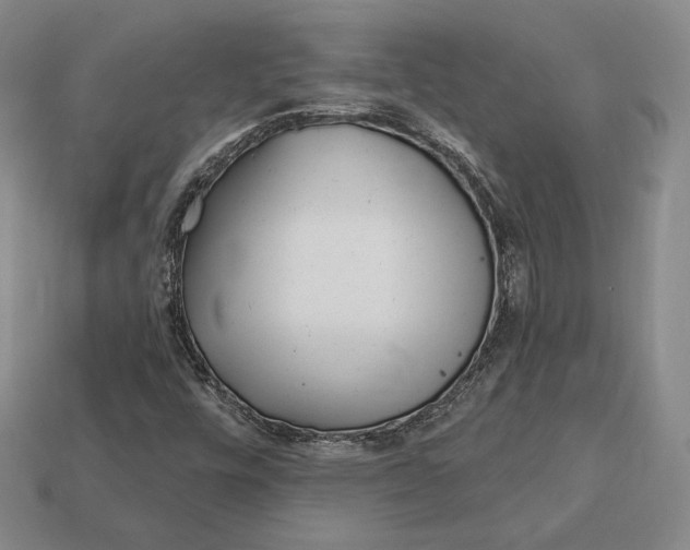 X0000113121448200909181639