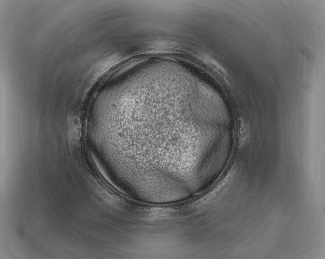 X0000113121449200909181639