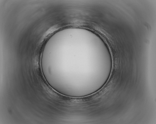 X0000113121451200909181639