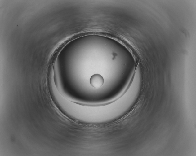 X0000113121452200909181639