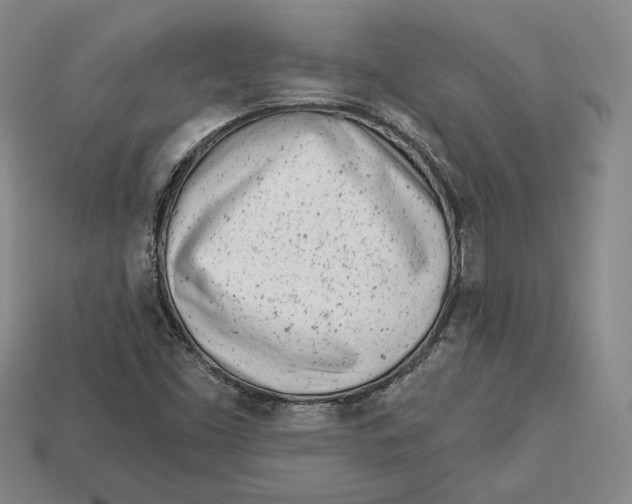 X0000113121453200909181639