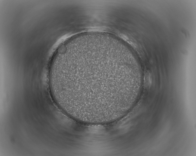 X0000113121454200909181639