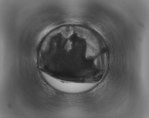 X0000113121455200909181639