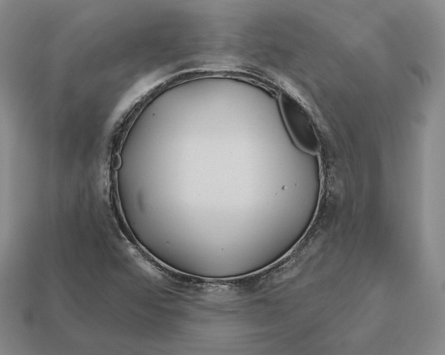 X0000113121456200909181639