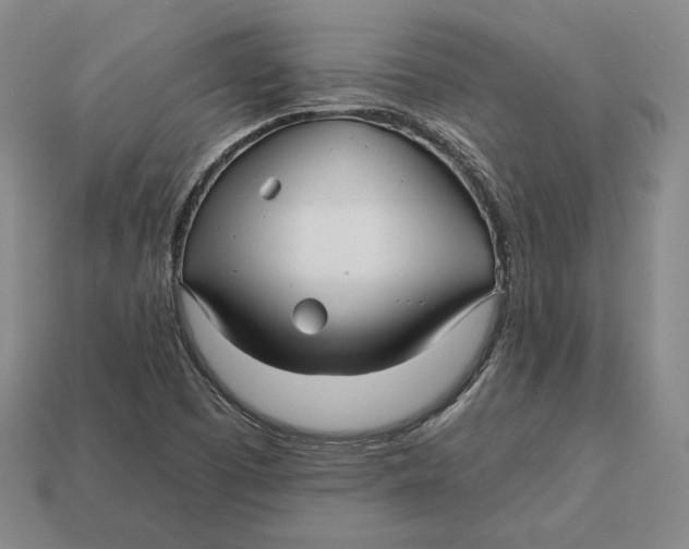 X0000113121457200909181639