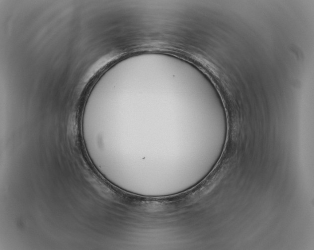 X0000113121458200909181639