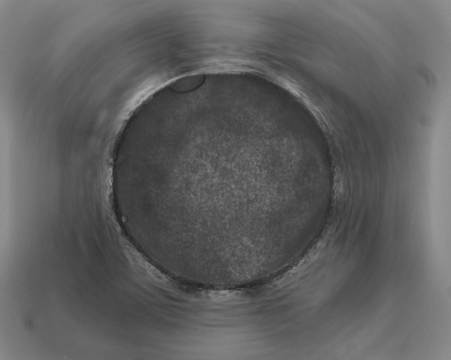 X0000113121459200909181639