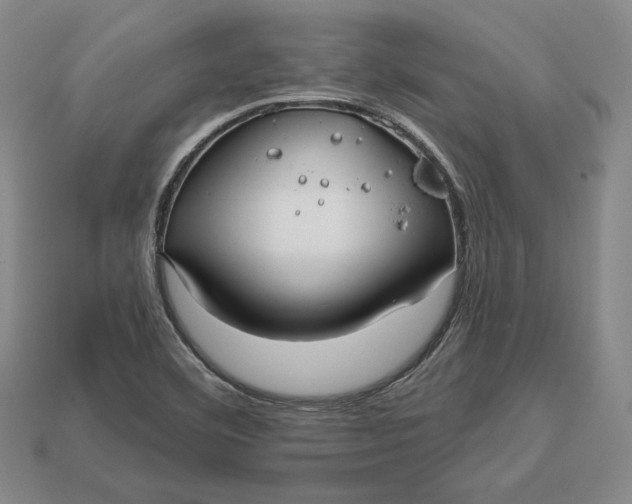 X0000113121460200909181639