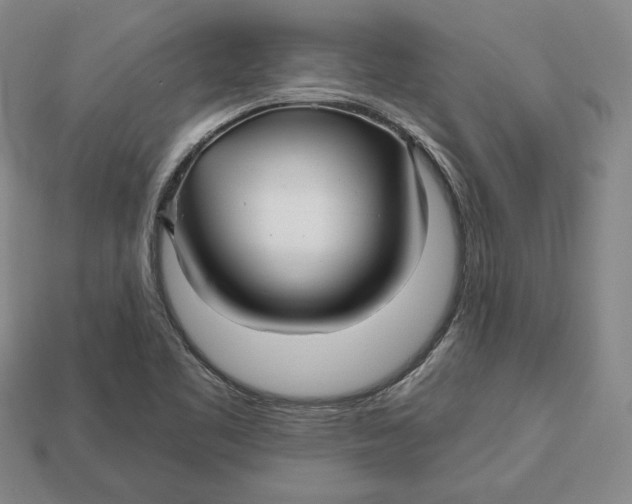 X0000113121461200909181639