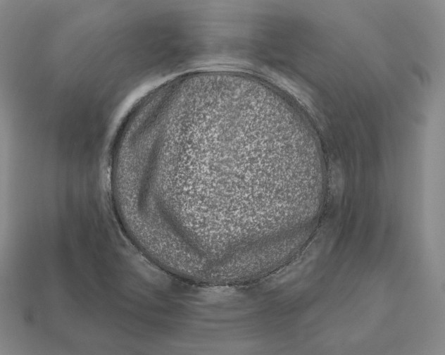 X0000113121462200909181639