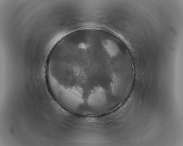 X0000113121463200909181639