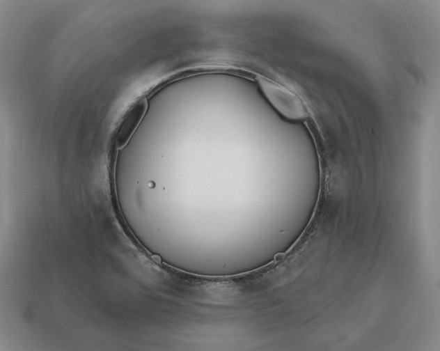 X0000113121464200909181639