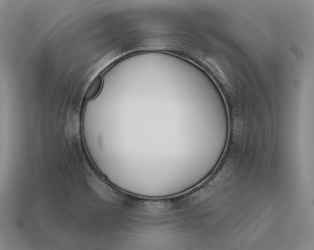 X0000113121465200909181639