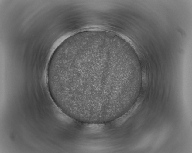 X0000113121466200909181639