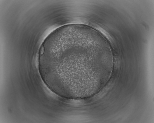 X0000113121468200909181639