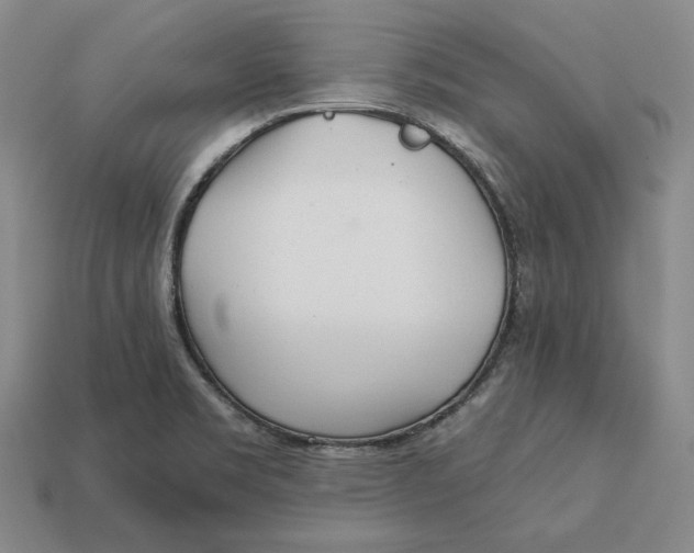 X0000113121469200909181639