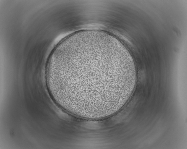 X0000113121470200909181639