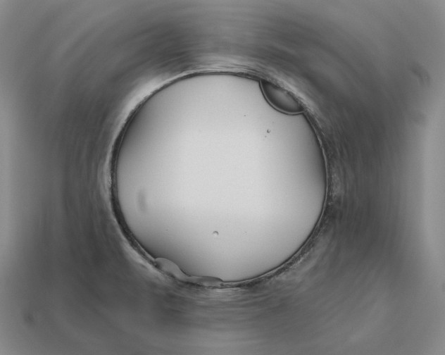 X0000113121471200909181639