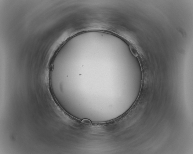 X0000113121472200909181639