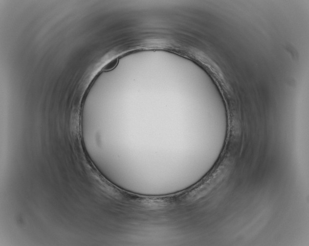 X0000113121473200909181639