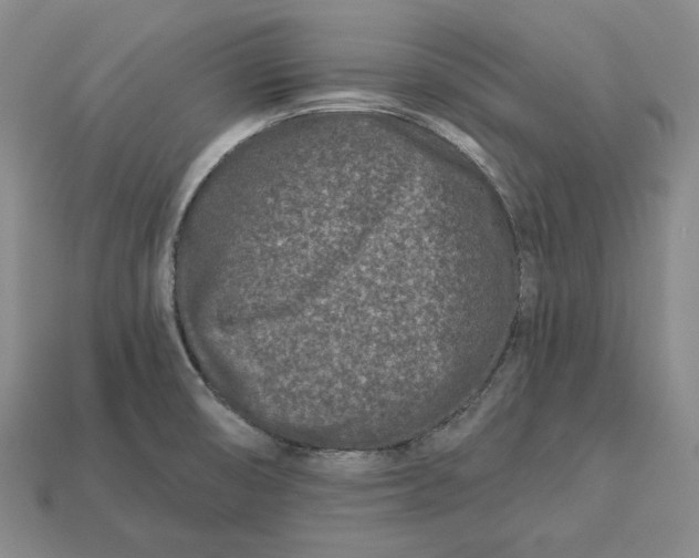 X0000113121474200909181639