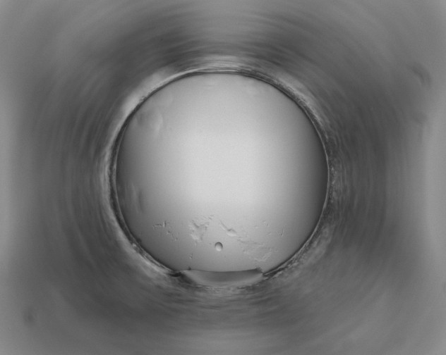 X0000113121475200909181639