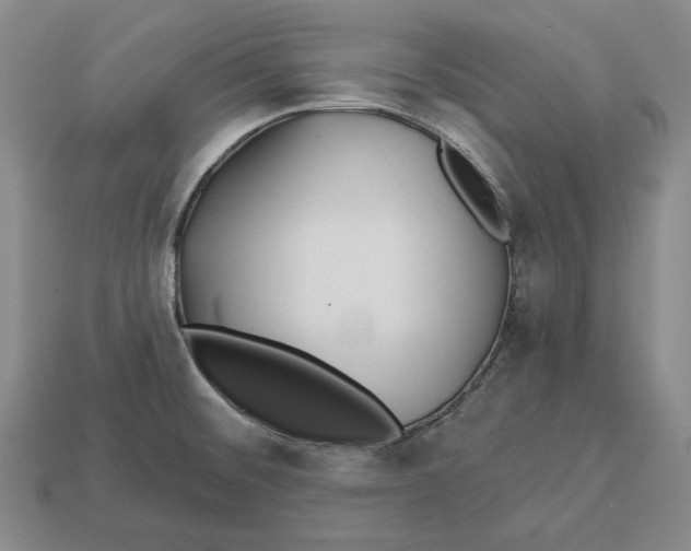 X0000113121476200909181639