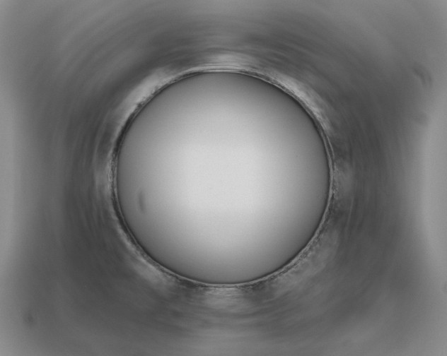 X0000113121477200909181639